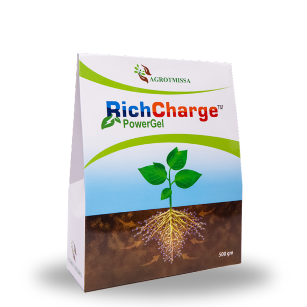 RichCharge Power gel